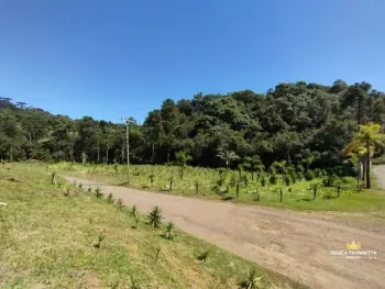 Imagem do anúnio: Vendo fazenda / sítio / chácara em Fraiburgo , Santa Catarina no bairro Interior