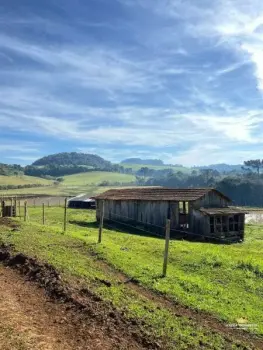 Imagem do anúnio: Vendo fazenda / sítio / chácara em Videira , Santa Catarina no bairro Lourdes
