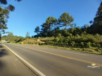 Imagem do anúnio: Vendo imóvel comercial em Fraiburgo , Santa Catarina no bairro Papuã