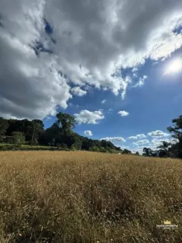 Imagem do anúnio: Vendo fazenda / sítio / chácara em Videira , Santa Catarina no bairro Linha Monte Bérico