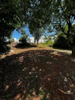 Imagem do anúnio: Vendo terreno / lote / condomínio em Videira , Santa Catarina no bairro Santos Dumont