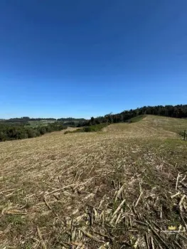 Imagem do anúnio: Vendo fazenda / sítio / chácara em Videira , Santa Catarina no bairro Rio das Pedras