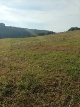 Imagem do anúncio: Vendo terreno / lote / condomínio em Videira , Santa Catarina no bairro Linha Monte Bérico