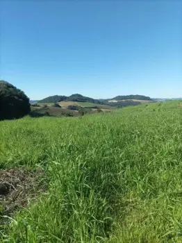 Imagem do anúncio: Vendo fazenda / sítio / chácara em Videira , Santa Catarina no bairro Linha São José