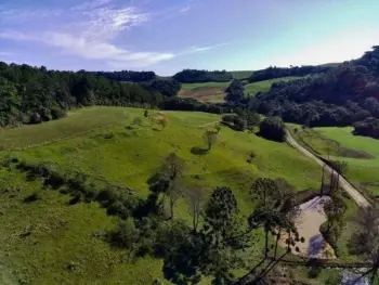 Imagem do anúncio: Vendo fazenda / sítio / chácara em Videira , Santa Catarina no bairro Linha Lazzarotto