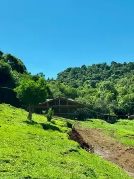 Imagem do anúnio: Vendo fazenda / sítio / chácara em Videira , Santa Catarina no bairro Linha São José