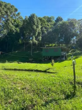 Imagem do anúncio: Vendo fazenda / sítio / chácara em Videira , Santa Catarina no bairro Linha XV de Novembro