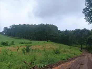 Imagem do anúnio: Vendo fazenda / sítio / chácara em Tangará , Santa Catarina no bairro Linha Irakitan