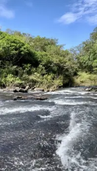 Imagem do anúnio: Vendo fazenda / sítio / chácara em Erval Velho , Santa Catarina no bairro Despraiado Do Leão 