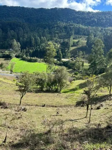 Imagem do anúncio: Vendo fazenda / sítio / chácara em Urubici , Santa Catarina no bairro Rio do Engano