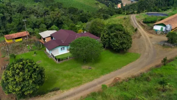 Imagem do anúnio: Vendo fazenda / sítio / chácara em Anta Gorda , Santa Catarina no bairro INTERIOR 