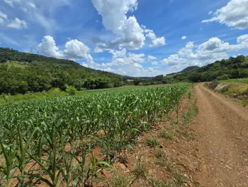 Imagem do anúnio: Vendo casa em Itá , Santa Catarina no bairro LINHA SÃO PAULO