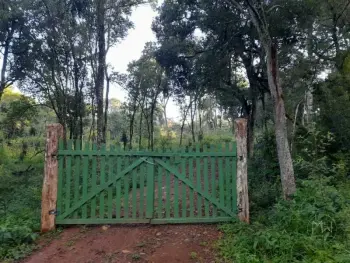 Imagem do anúnio: Vendo fazenda / sítio / chácara em Catanduvas , Santa Catarina no bairro Linha Pedra Lisa