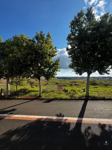 Imagem do anúnio: Vendo terreno / lote / condomínio em Pinhalzinho , Santa Catarina no bairro Nova Divinéia