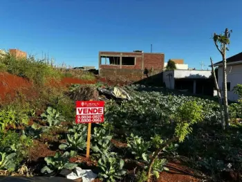 Imagem do anúnio: Vendo terreno / lote / condomínio em Pinhalzinho , Santa Catarina no bairro Pioneiro