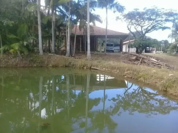 Imagem do anúnio: Vendo fazenda / sítio / chácara em Tijucas , Santa Catarina no bairro Rural