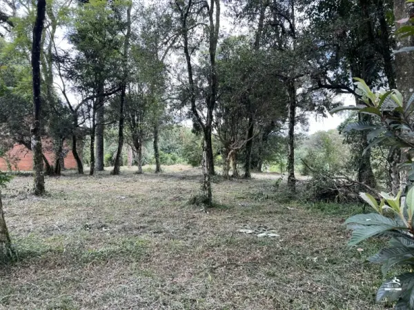 Imagem do anúnio: Vendo fazenda / sítio / chácara em Xaxim , Santa Catarina no bairro Vila Diadema