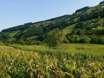 Imagem do anúncio: Vendo fazenda / sítio / chácara em Arvoredo , Santa Catarina no bairro Interior