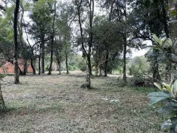 Imagem do anúnio: Vendo fazenda / sítio / chácara em Xaxim , Santa Catarina no bairro Vila Diadema