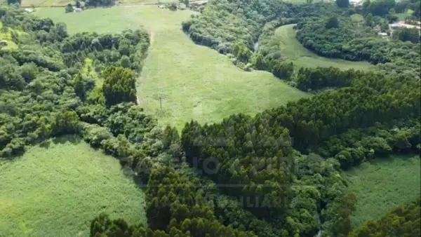 Imagem do anúnio: Vendo fazenda / sítio / chácara em Macieira , Santa Catarina no bairro Linha Santo Antonio