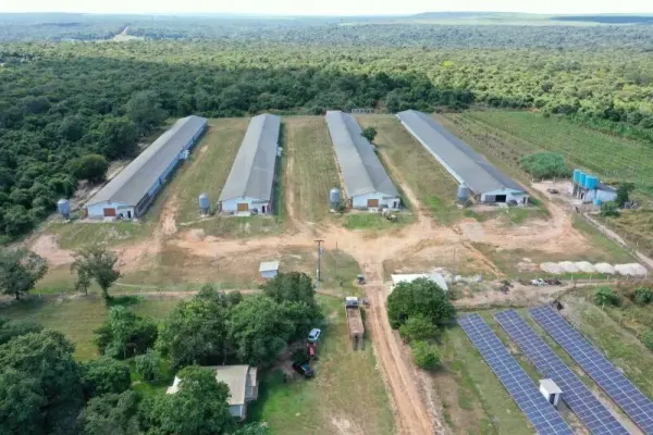 Imagem do anúnio: Vendo fazenda / sítio / chácara em Nova Mutum , Mato Grosso no bairro BR-163