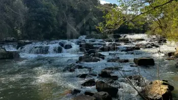Imagem do anúnio: Vendo fazenda / sítio / chácara em Videira , Santa Catarina no bairro Linha São Pedro