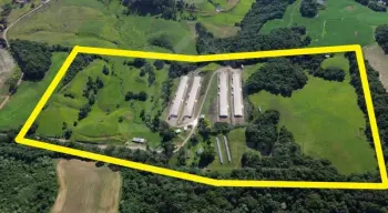 Imagem do anúnio: Vendo fazenda / sítio / chácara em Videira , Santa Catarina no bairro Linha São Roque