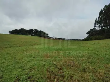 Imagem do anúnio: Vendo fazenda / sítio / chácara em Anita Garibaldi , Santa Catarina no bairro Interior