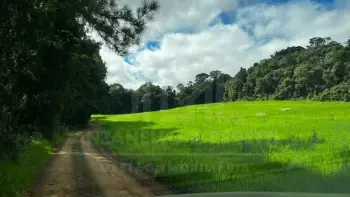 Imagem do anúnio: Vendo fazenda / sítio / chácara em Videira , Santa Catarina no bairro Linha São José