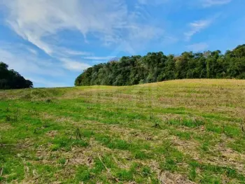 Imagem do anúnio: Vendo fazenda / sítio / chácara em Videira , Santa Catarina no bairro Linha São José