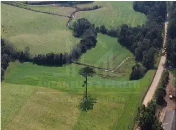 Imagem do anúnio: Vendo fazenda / sítio / chácara em Videira , Santa Catarina no bairro Linha Passo da Felicidade