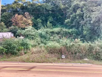 Imagem do anúnio: Vendo terreno / lote / condomínio em Videira , Santa Catarina no bairro De Carli
