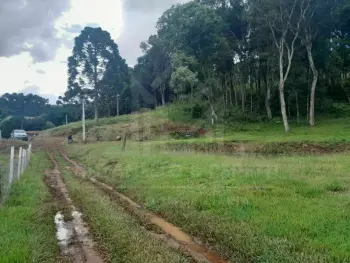 Imagem do anúnio: Vendo fazenda / sítio / chácara em Rio Das Antas , Santa Catarina no bairro Ipomeia