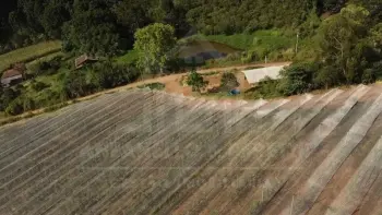 Imagem do anúnio: Vendo fazenda / sítio / chácara em Videira , Santa Catarina no bairro Linha São José