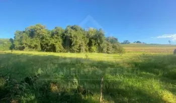 Imagem do anúnio: Vendo fazenda / sítio / chácara em Videira , Santa Catarina no bairro Linha Monte Bérico