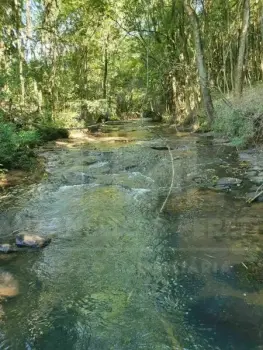 Imagem do anúnio: Vendo fazenda / sítio / chácara em Videira , Santa Catarina no bairro Linha Rio Tigre