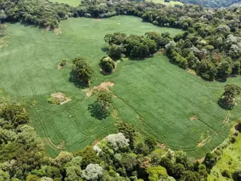 Imagem do anúnio: Vendo fazenda / sítio / chácara em Luzerna , Santa Catarina no bairro Linha Alto Rochedo 