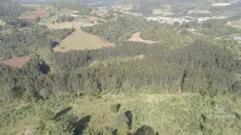Imagem do anúnio: Vendo fazenda / sítio / chácara em Macieira , Santa Catarina no bairro Linha Santo Antonio