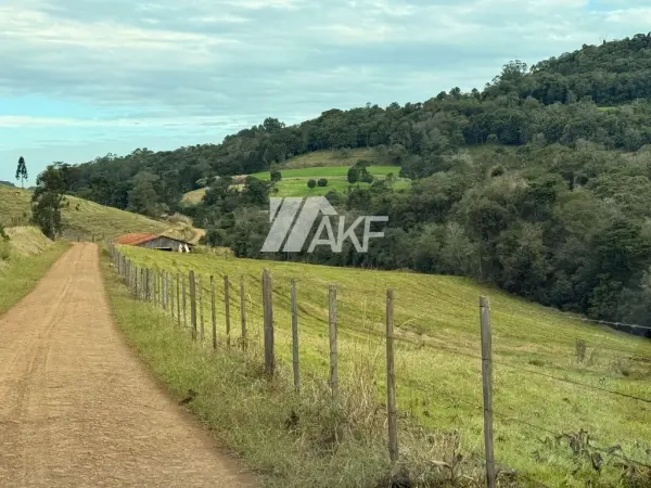 Imagem do anúncio: Vendo fazenda / sítio / chácara em Guatambu , Santa Catarina no bairro Interior