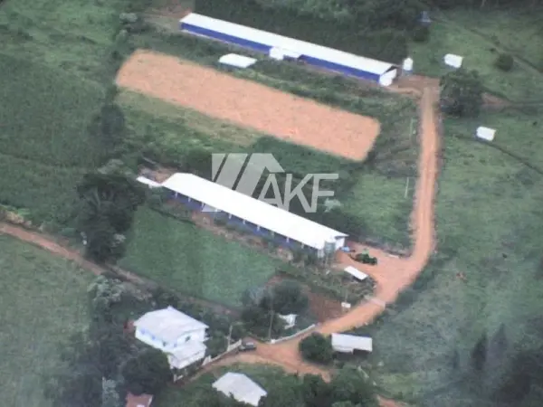 Imagem do anúnio: Vendo fazenda / sítio / chácara em Palmitos , Santa Catarina no bairro Interior