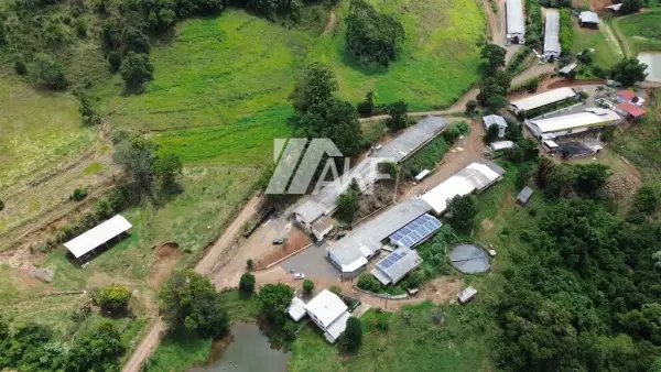 Imagem do anúnio: Vendo fazenda / sítio / chácara em Xavantina , Santa Catarina no bairro Interior
