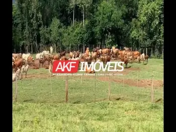 Imagem do anúnio: Vendo fazenda / sítio / chácara em Bandeirante , Santa Catarina no bairro Interior