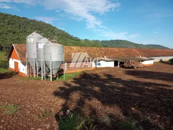 Imagem do anúnio: Vendo fazenda / sítio / chácara em Xaxim , Santa Catarina no bairro Interior