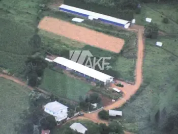 Imagem do anúnio: Vendo fazenda / sítio / chácara em Palmitos , Santa Catarina no bairro Interior