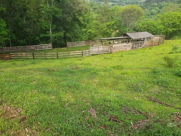 Imagem do anúncio: Vendo fazenda / sítio / chácara em Ipumirim , Santa Catarina no bairro Interior
