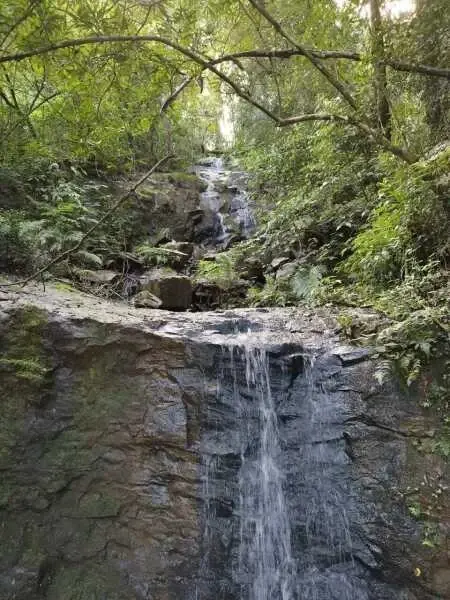 Imagem do anúnio: Vendo fazenda / sítio / chácara em Ibicaré , Santa Catarina no bairro Interior