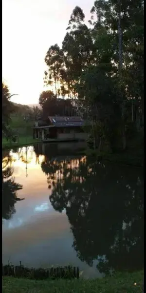 Imagem do anúnio: Vendo fazenda / sítio / chácara em Santo Amaro da Imperatriz , Santa Catarina no bairro Interior