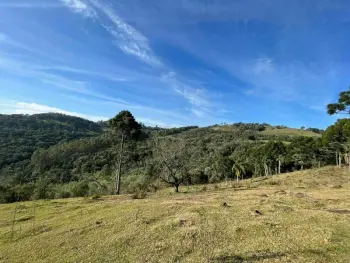 Imagem do anúnio: Vendo fazenda / sítio / chácara em Luzerna , Santa Catarina no bairro Interior