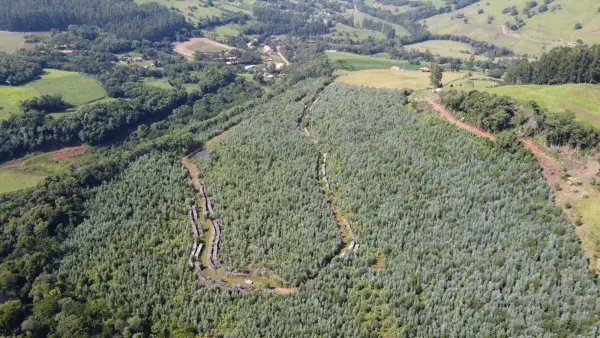 Imagem do anúncio: Vendo terreno / lote / condomínio em Jaborá , Santa Catarina no bairro Interior