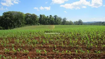 Imagem do anúnio: Vendo imóvel comercial em Concórdia , Santa Catarina no bairro São Cristóvão